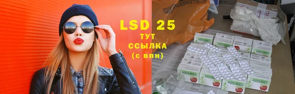 сатива Алзамай
