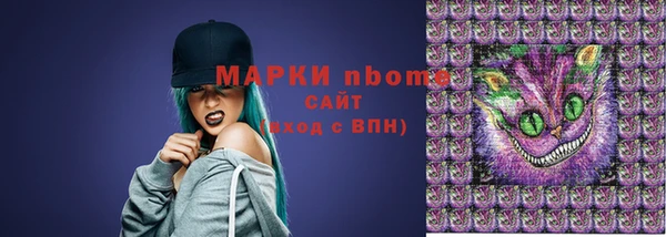 молекула духа Медвежьегорск