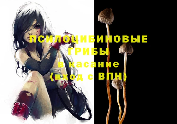 молекула духа Алексеевка