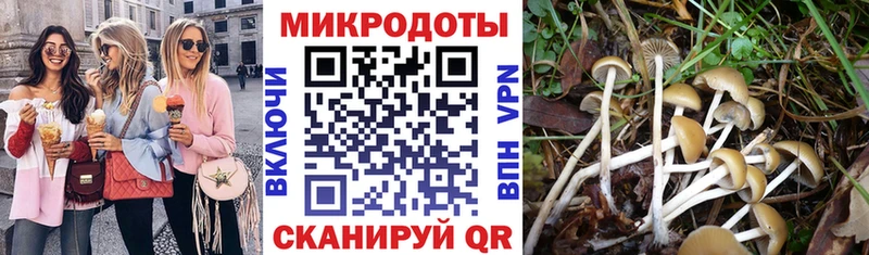 Галлюциногенные грибы прущие грибы Обнинск