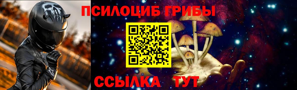 Обнинск  Галлюциногенные грибы Psilocybine cubensis  Вход с VPN  Псилоцибиновые грибы мухоморы 