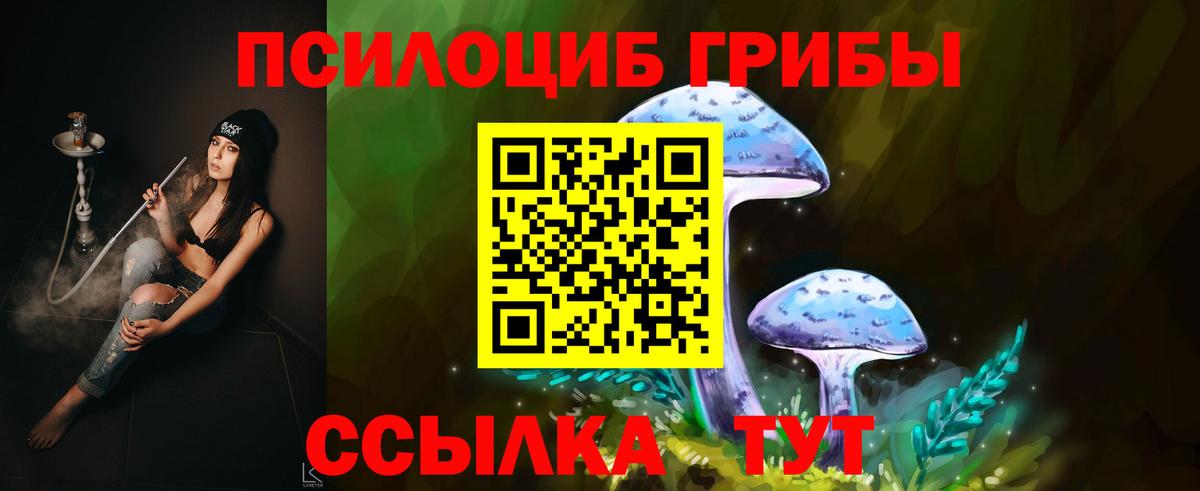 Псилоцибиновые грибы Cubensis Обнинск